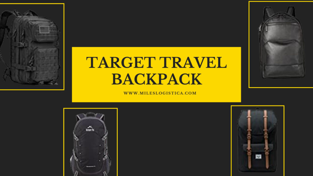 Target Travel Backpack