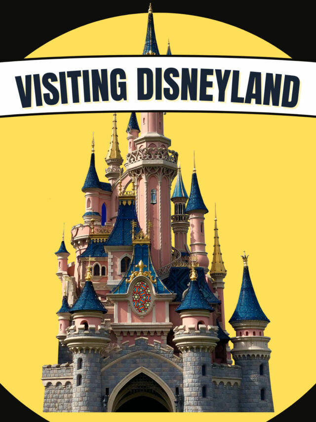 9 Things Families Should Know Before Visiting Disneyland